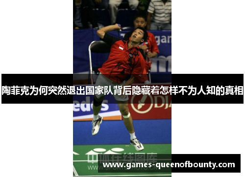 陶菲克为何突然退出国家队背后隐藏着怎样不为人知的真相